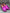 Mocasin Fucsia Party